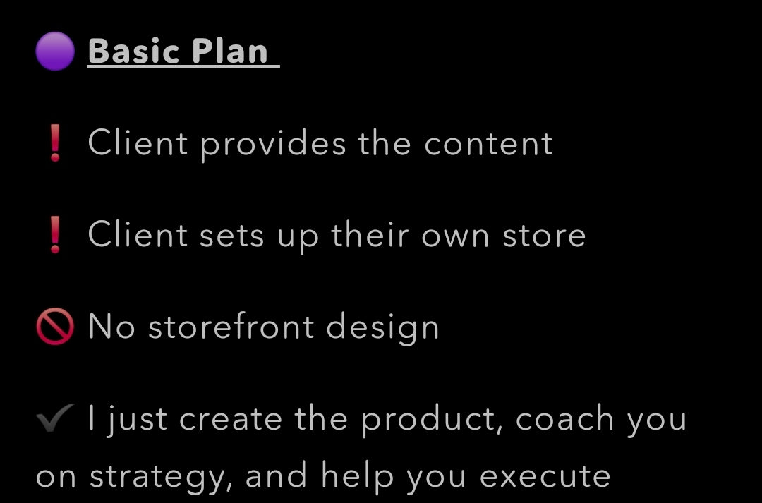 Learn & Launch Bundle: Digital Product Creation & 1-on-1 Coaching (3 Zoom Sessions-1 Hour Each)
